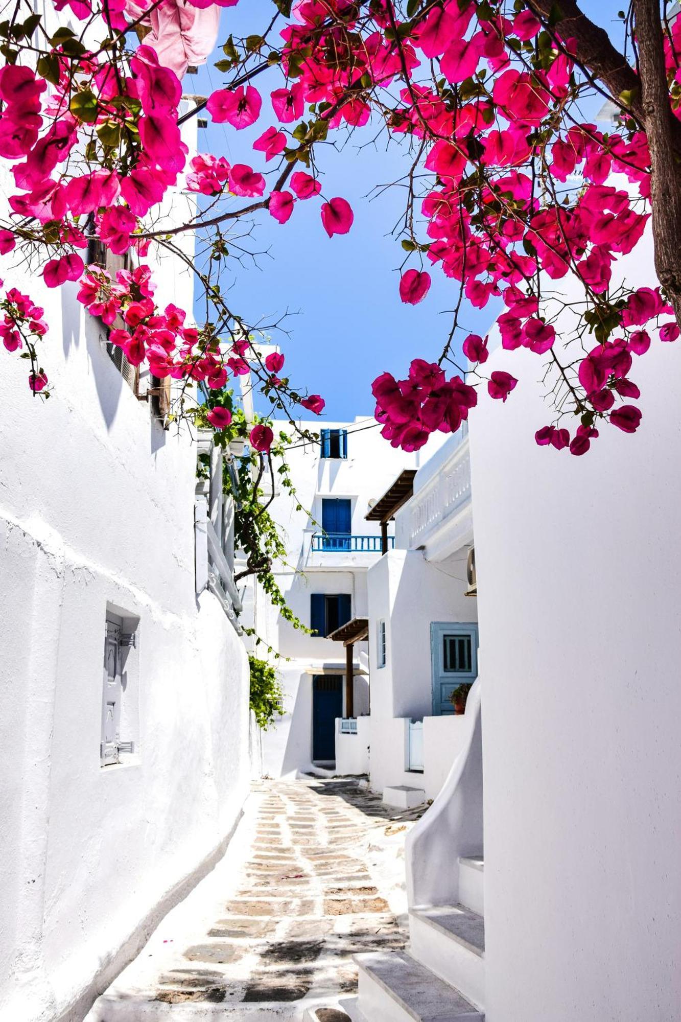 Aniko Suites White Alley Mykonos Town Bagian luar foto
